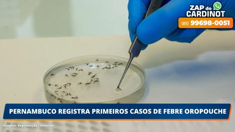 Pernambuco registra primeiros casos de Febre Oropouche