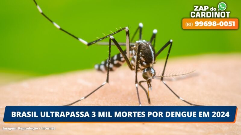 Brasil ultrapassa 3 mil mortes por dengue em 2024