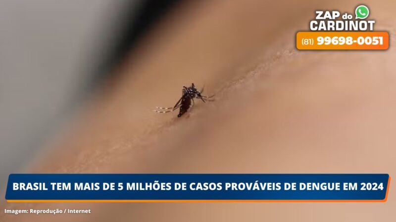 Brasil tem mais de 5 milhões de casos prováveis de dengue em 2024