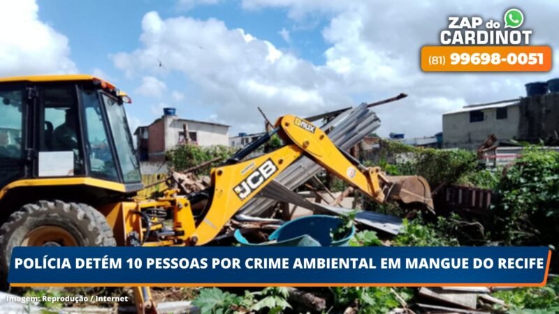 Polícia detém 10 pessoas por crime ambiental em mangue do Recife