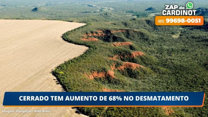 Cerrado tem aumento de 68% no desmatamento