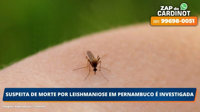 Suspeita de morte por Leishmaniose em Pernambuco é investigada