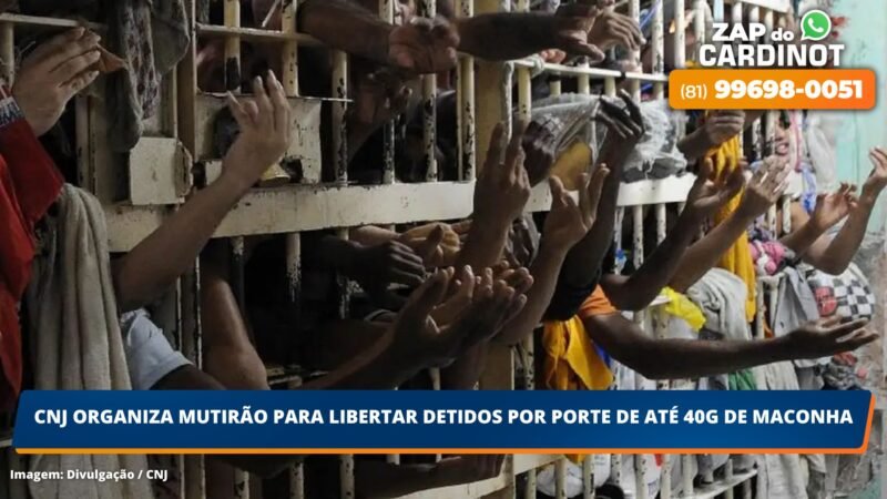 CNJ organiza mutirão para libertar detidos por porte de até 40 g de maconha