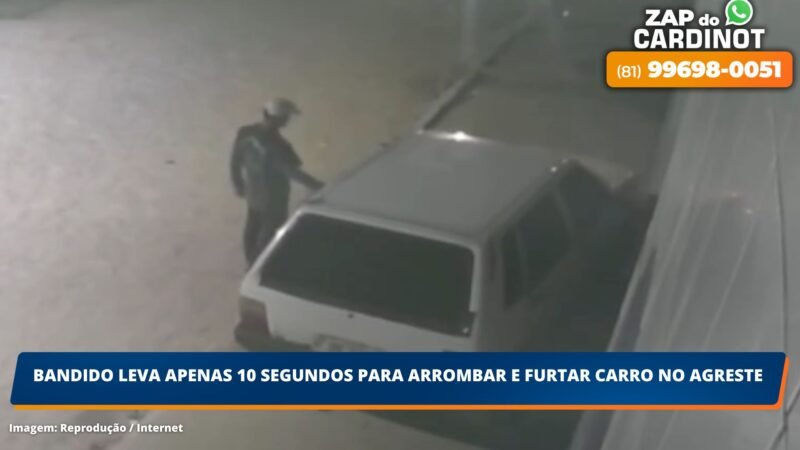 VÍDEO: Bandido leva apenas 10 segundos para arrombar e furtar carro no agreste
