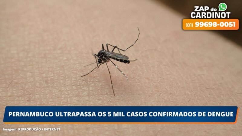 Pernambuco ultrapassa os 5 mil casos confirmados de dengue