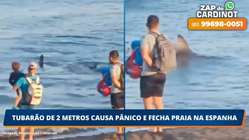 VÍDEO: Tubarão de 2 metros causa pânico e fecha praia na Espanha