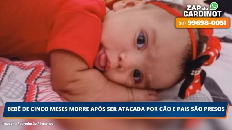 Bebê de cinco meses morre após ser atacada por cão e pais são presos