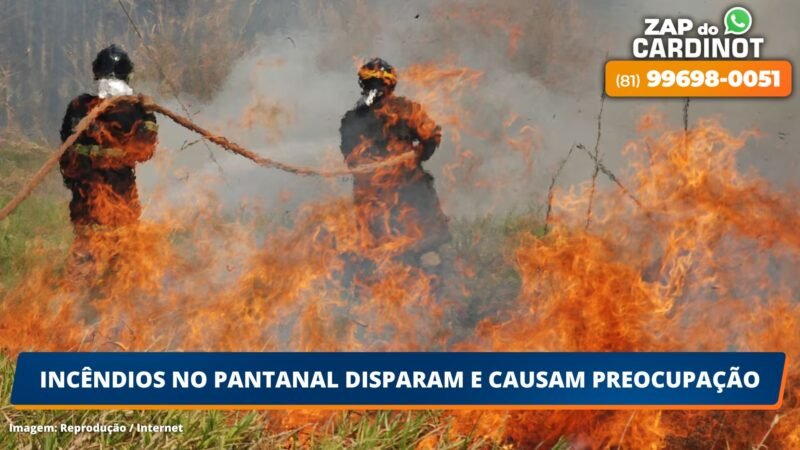Incêndios no pantanal disparam e causam preocupação
