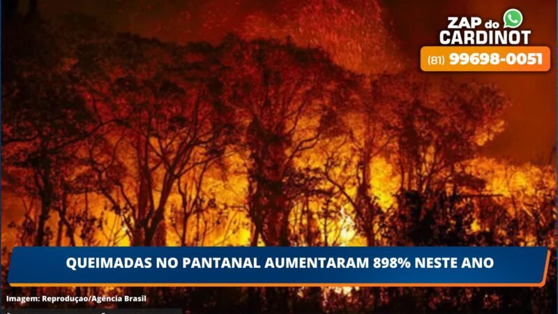 Queimadas no Pantanal aumentaram 898% neste ano