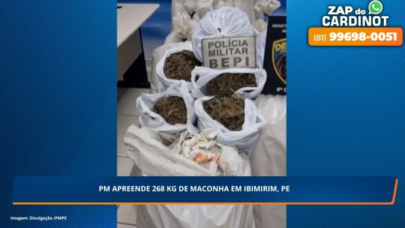 Polícia apreende 268 kg de maconha em Ibimirim, PE