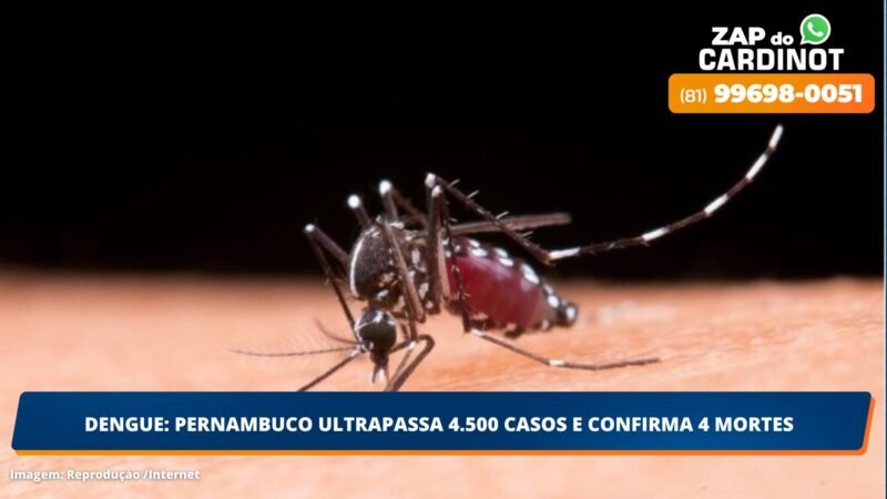 Dengue: Pernambuco ultrapassa 4.500 casos e confirma 4 mortes