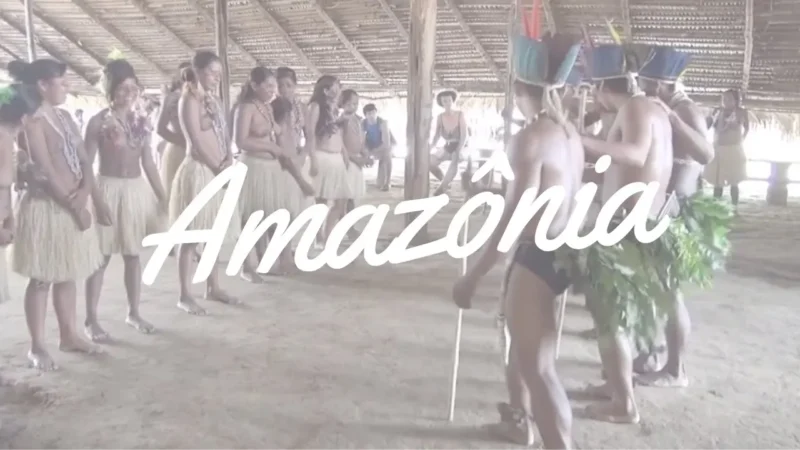 Cardinot na Amazônia