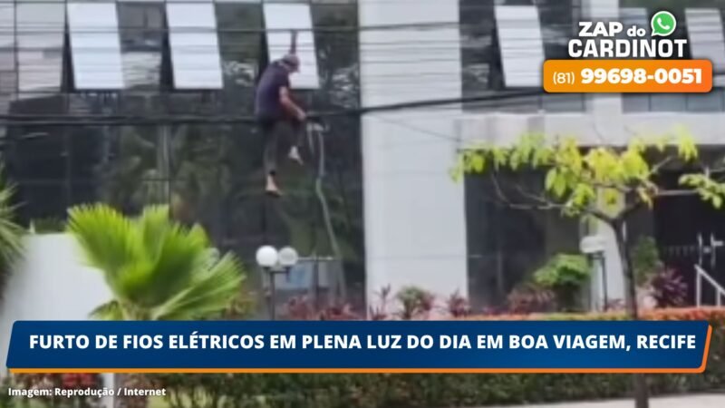 VÍDEO: Flagrante de furto de fios elétricos em plena luz do do dia em Boa Viagem, Recife