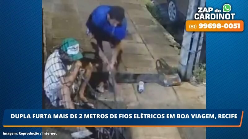 VÍDEO: Dupla furta mais de 2 metros de fios elétricos em Boa Viagem, Recife