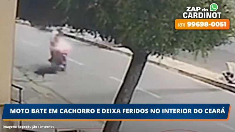VÍDEO: Moto bate em cachorro e deixa feridos no interior do Ceará