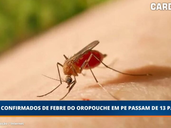 Casos confirmados de febre do oropouche em Pernambuco passam de 13 para 72