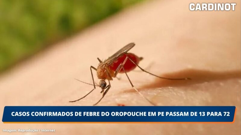 Casos confirmados de febre do oropouche em Pernambuco passam de 13 para 72