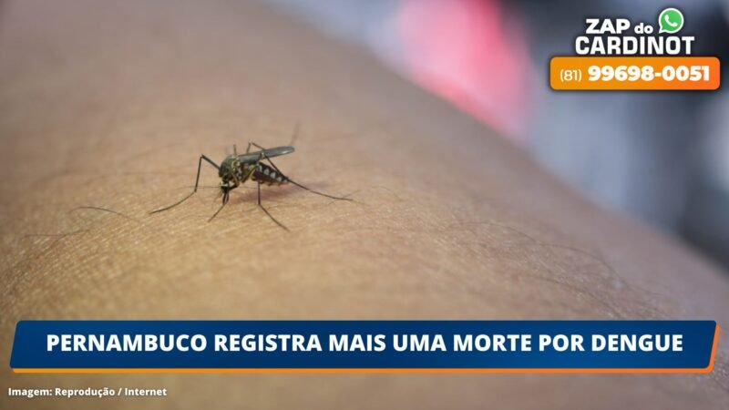 Pernambuco registra mais uma morte por dengue
