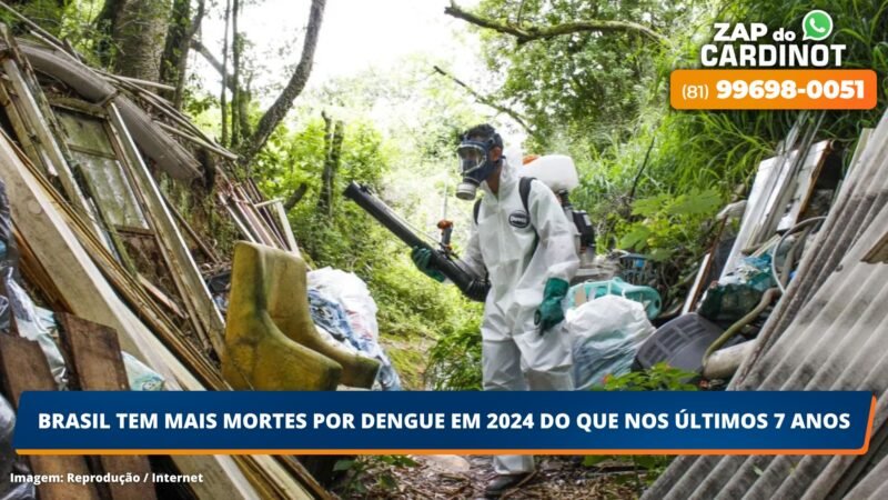 Brasil tem mais mortes por dengue em 2024 do que nos últimos 7 anos