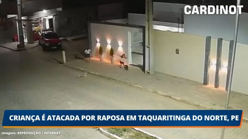 VÍDEO: Criança é atacada por raposa em Taquaritinga do Norte, PE