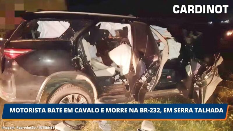 Motorista bate em cavalo e morre na BR-232, em Serra Talhada