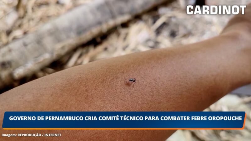 Governo de Pernambuco Cria Comitê Técnico para Combater Febre Oropouche