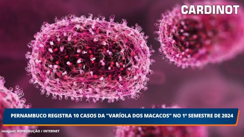 Pernambuco registra 10 casos da “varíola dos macacos” no 1º semestre de 2024