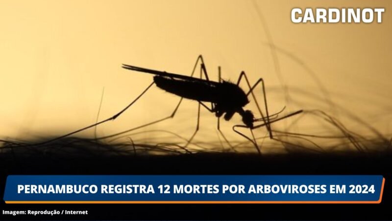 Pernambuco registra 12 mortes por arboviroses em 2024