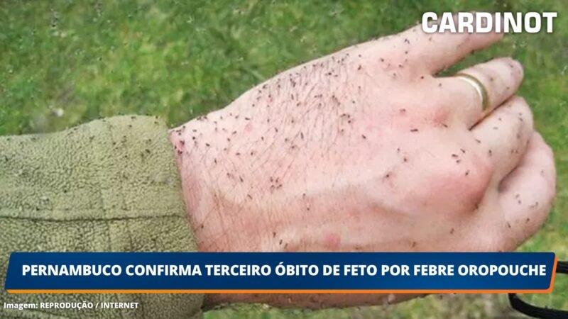 Pernambuco confirma terceiro óbito de feto por febre oropouche