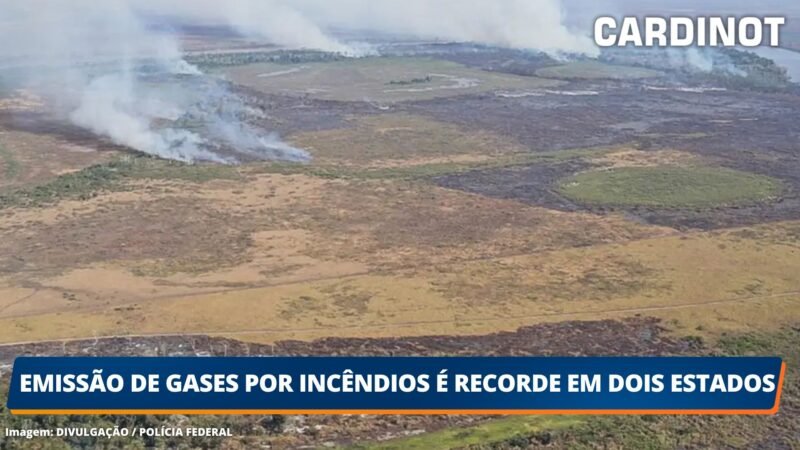 Emissão de gases por incêndios é recorde em dois estados