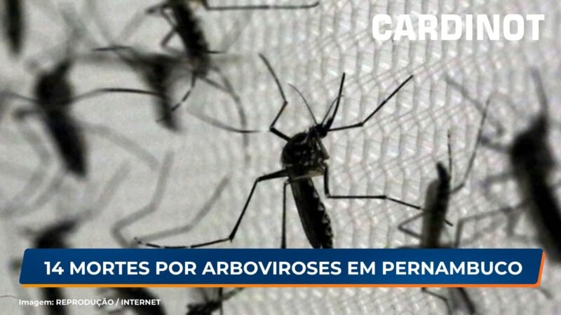 Pernambuco registra 14 mortes por arboviroses em 2024