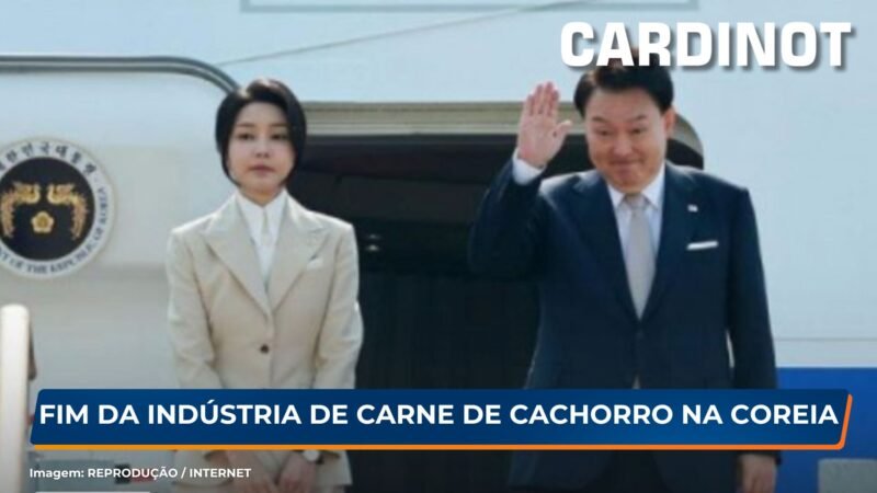 Coreia do Sul Investirá R$ 448 Milhões para fechar estabelecimentos de carne de cachorro