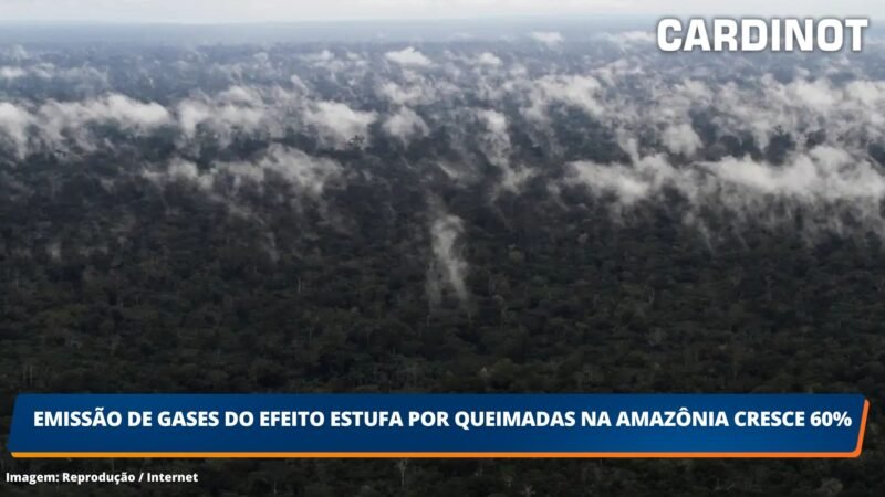 Emissão de gases do efeito estufa por queimadas na Amazônia cresce 60%