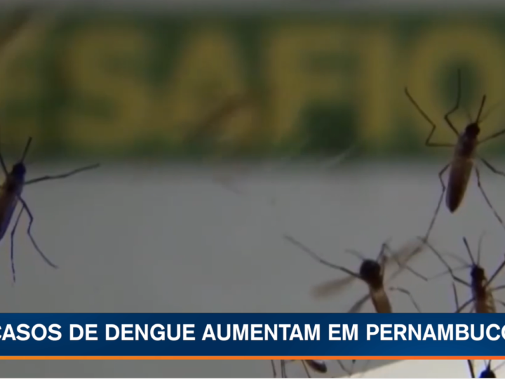 Casos de dengue aumentam em Pernambuco