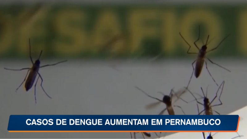 Casos de dengue aumentam em Pernambuco