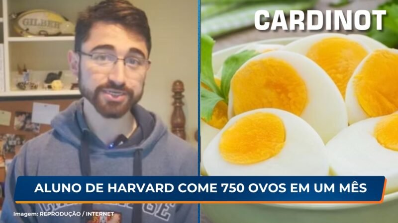 Aluno de Harvard come 750 ovos em um mês; VEJA O EFEITO NO COLESTEROL