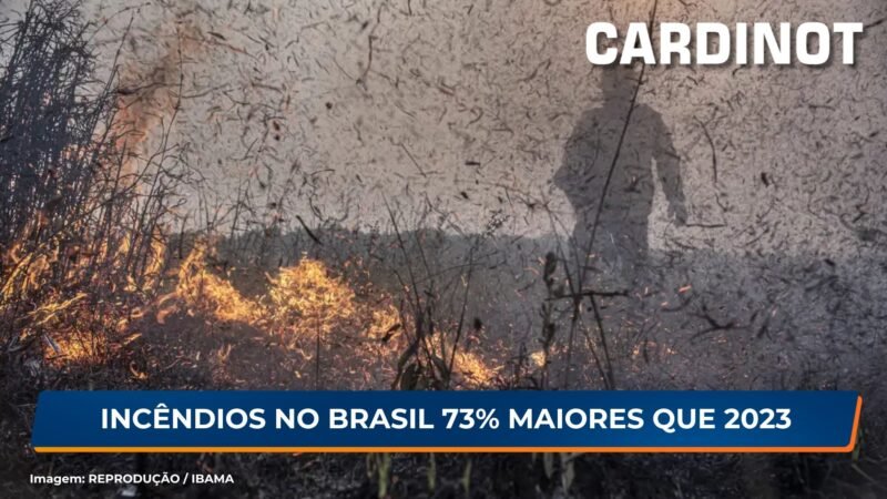 Focos de incêndios no Brasil já são 76% maiores que em 2023