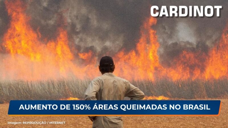 Aumento de 150% de áreas queimadas no Brasil em comparação a 2023