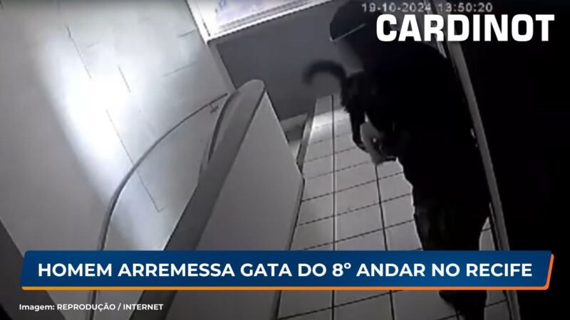 Homem arremessa gata do 8º andar no Recife