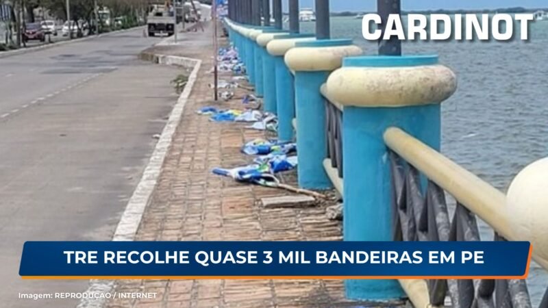 TRE recolhe quase 3 mil bandeiras de propaganda política em Pernambuco