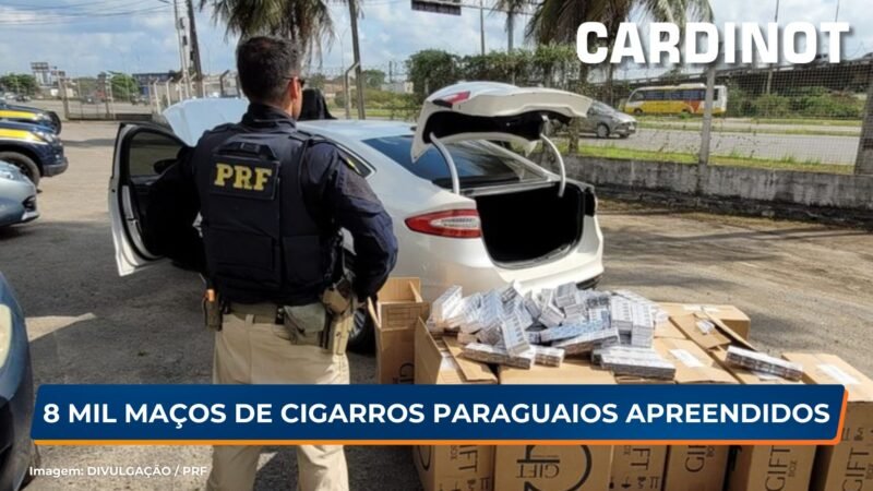 Mais de 8 mil maços de cigarros paraguaios apreendidos no Recife