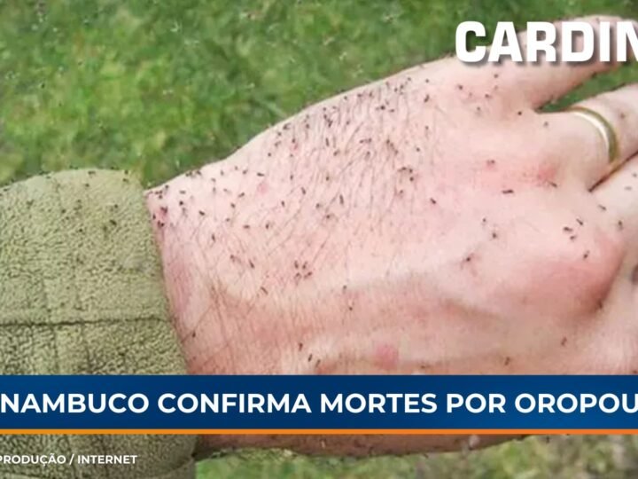 Pernambuco confirma três mortes em decorrência da febre oropouche