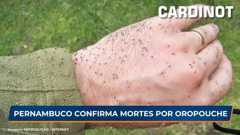 Pernambuco confirma três mortes em decorrência da febre oropouche