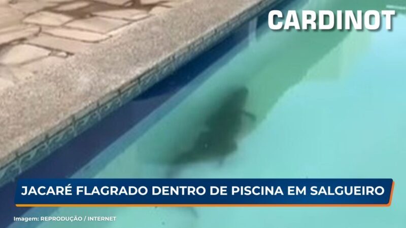 Jacaré é flagrado dentro de piscina em Salgueiro, PE