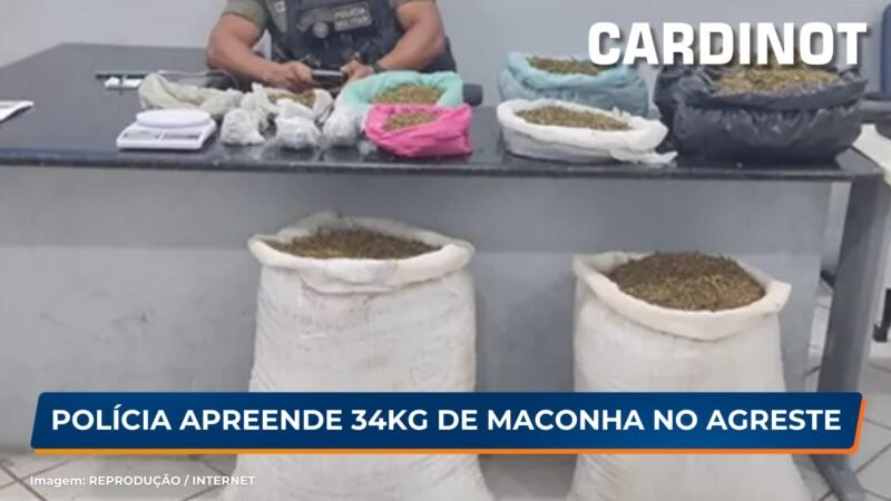 Polícia apreende 34 kg de maconha na zona rural de Brejo da Madre de Deus, PE