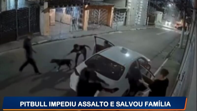 PITBULL IMPEDIU ASSALTO E SALVOU FAMÍLIA