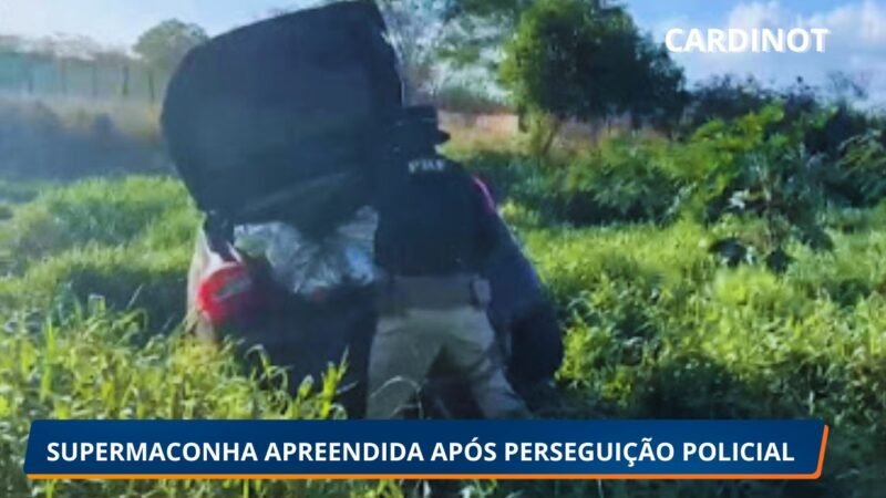 PRF apreende 21,8 kg de skunk e 1,8 kg de maconha em Arcoverde após perseguição