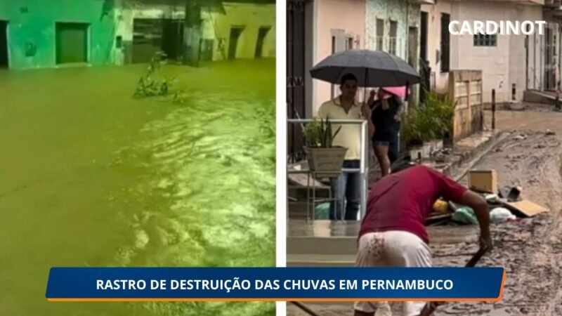 Chuvas Fortes Causam Enxurradas e Deixam Rastro de Destruição em Vicência