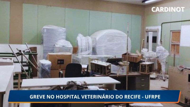 Hospital Veterinário da UFRPE sofre com infiltrações, falta de insumos e equipamentos inoperantes