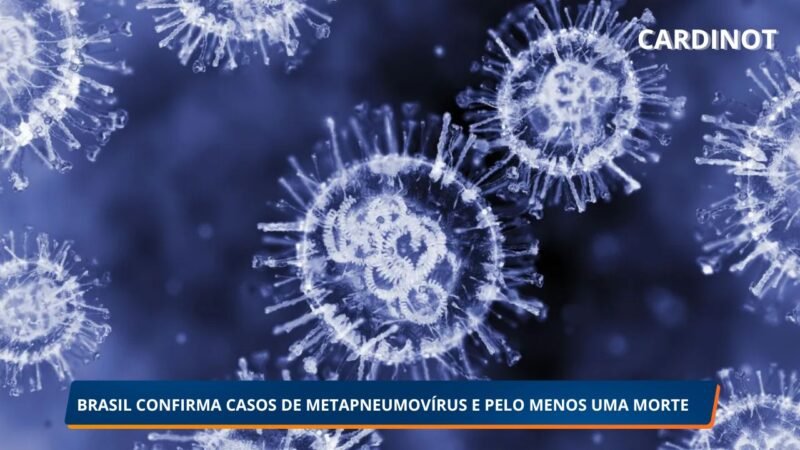 Brasil Registra 21 Casos e 1 Morte por Metapneumovírus Humano em 2025; Pernambuco Identifica Novas Ocorrências